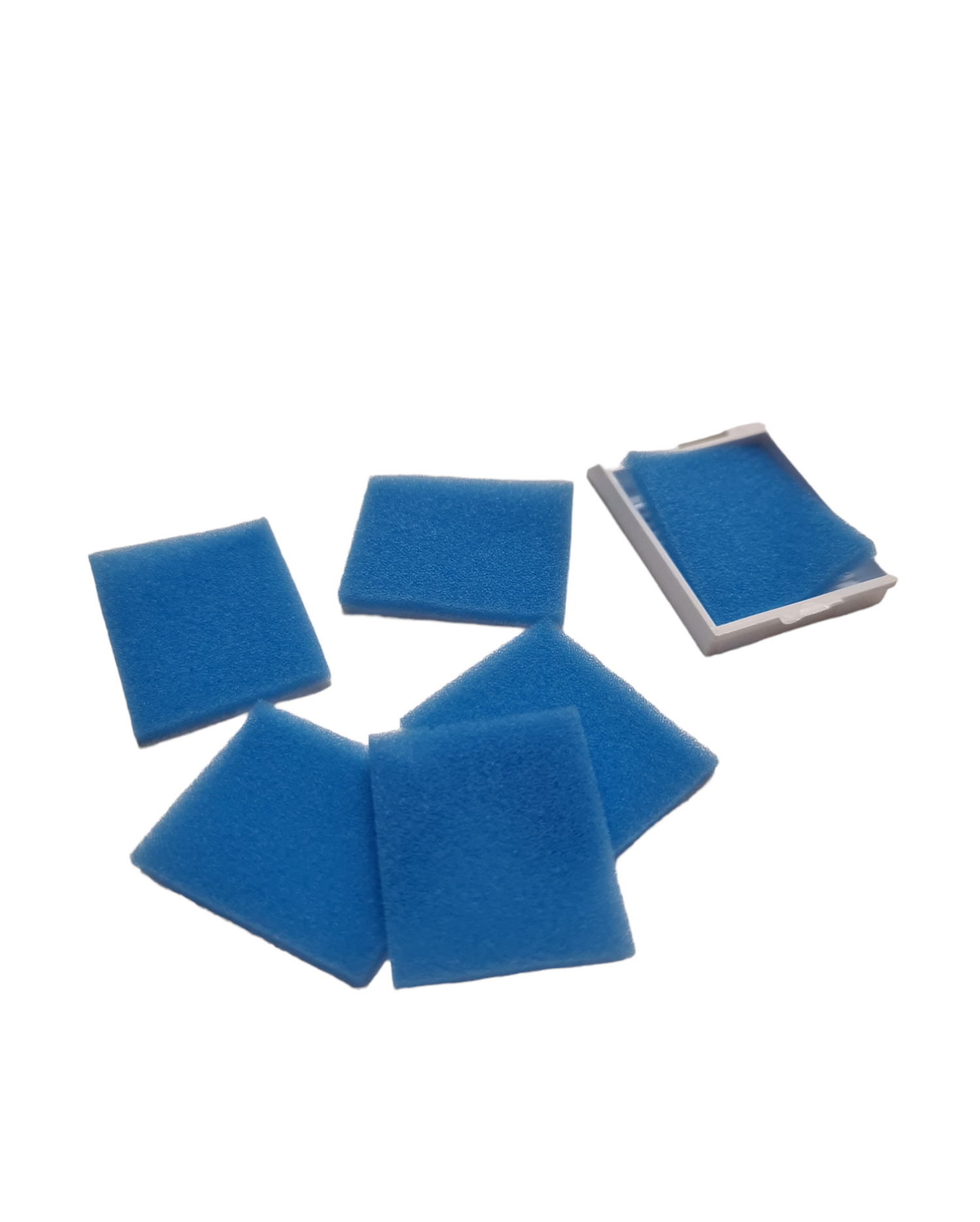 Biopsy Foam Pad Blue Bag/500